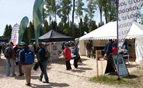 SkogsElmia 2011 hade över 33 000 besökare under de tre mässdagarna. Logosols monter var välbesökt.