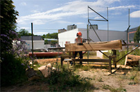Anton Alvarez lånade en Solosåg för att slutföra sitt projektarbete med temat möbler av parkträd.