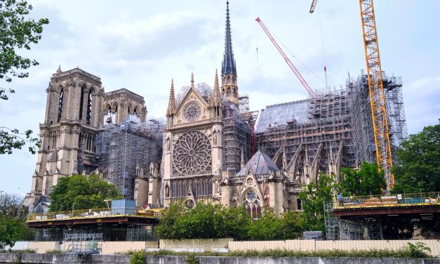 Logosol B1001 valdes ut för återuppbyggnaden av Notre-Dame